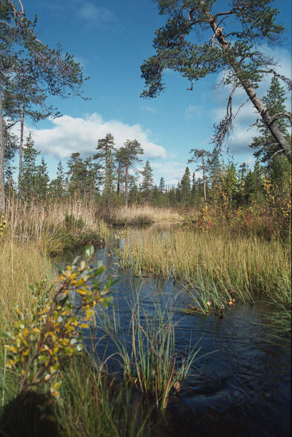 Eric Mourniac - Mourmansk, Russie
