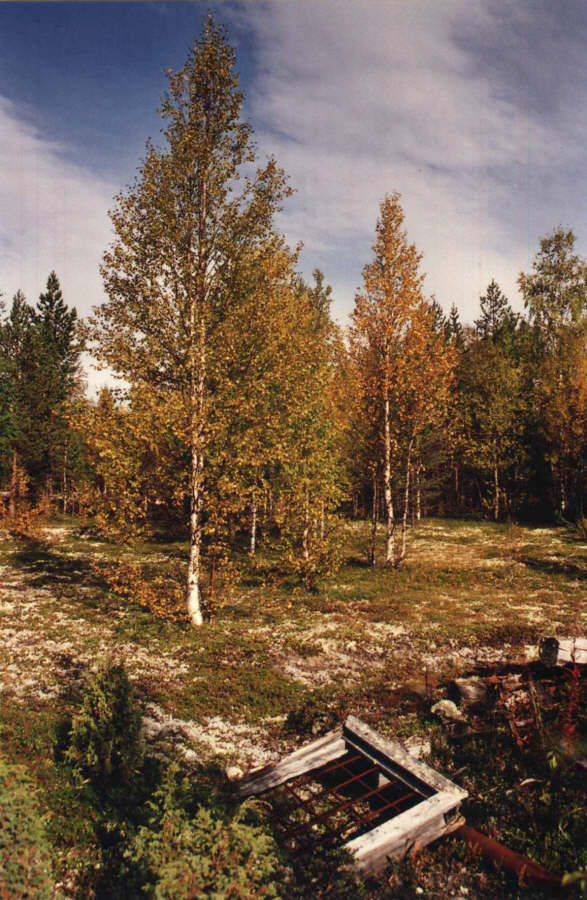 Eric Mourniac - Mourmansk, Russie