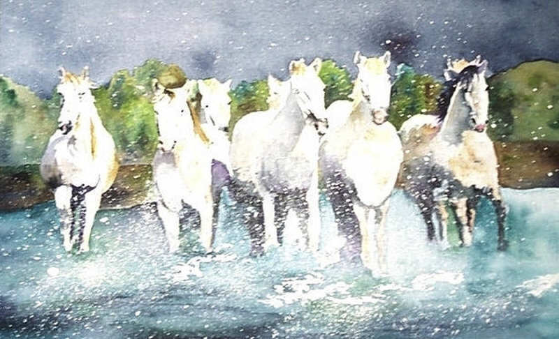 Guillaume : Chevaux en Camargue