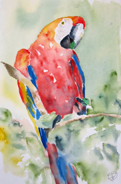 Joelle Guillaume - Aquarelles - Toulouse