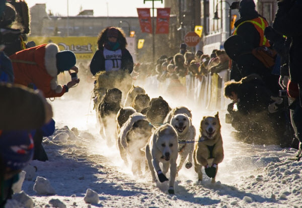 Yukon Quest - Stefab Wackerhagen