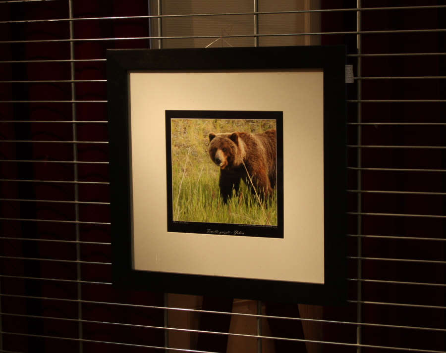 Exposition sur le Yukon - Grand Nord Canadien