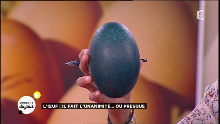 Exposition d'oeufs sur France 5