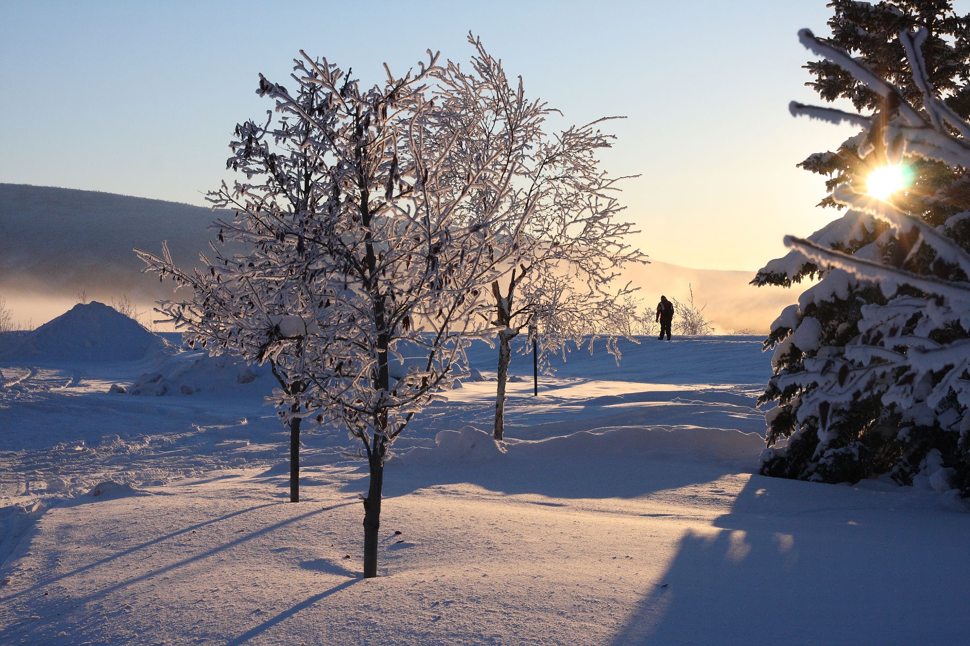 Paysage d'hiver