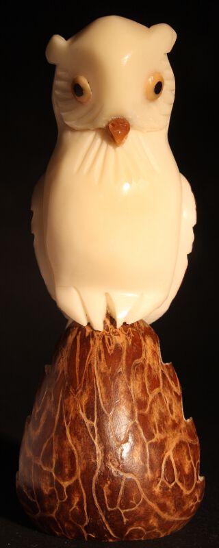 Chouettes sculptées sur noix (ivoire végétal)