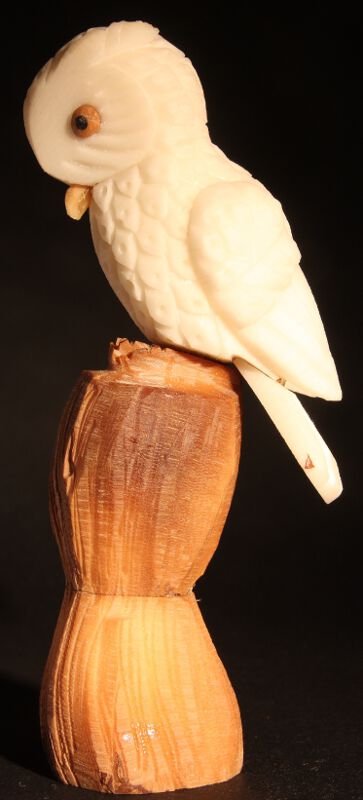 Chouettes sculptées sur noix (ivoire végétal)