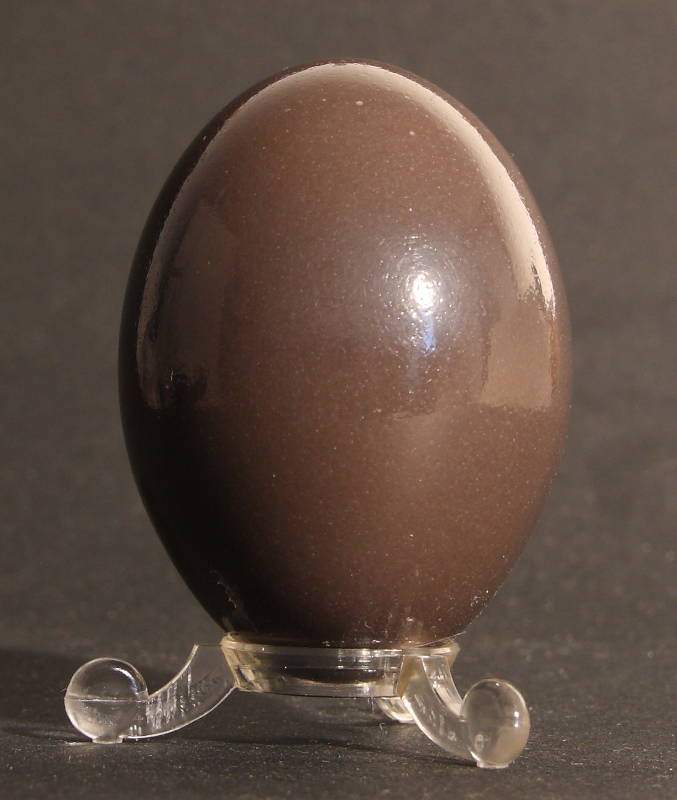 
		 Small coloured and irridescent eggs : Tinamu, araucana, pheasant, ...