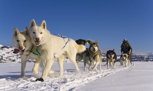 Traverse du Lac Laberge - Stefan Wackerhagen - Yukon