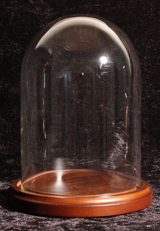 Cloche en verre 10 cm x 17 cm pour présenter un oeuf d'oie