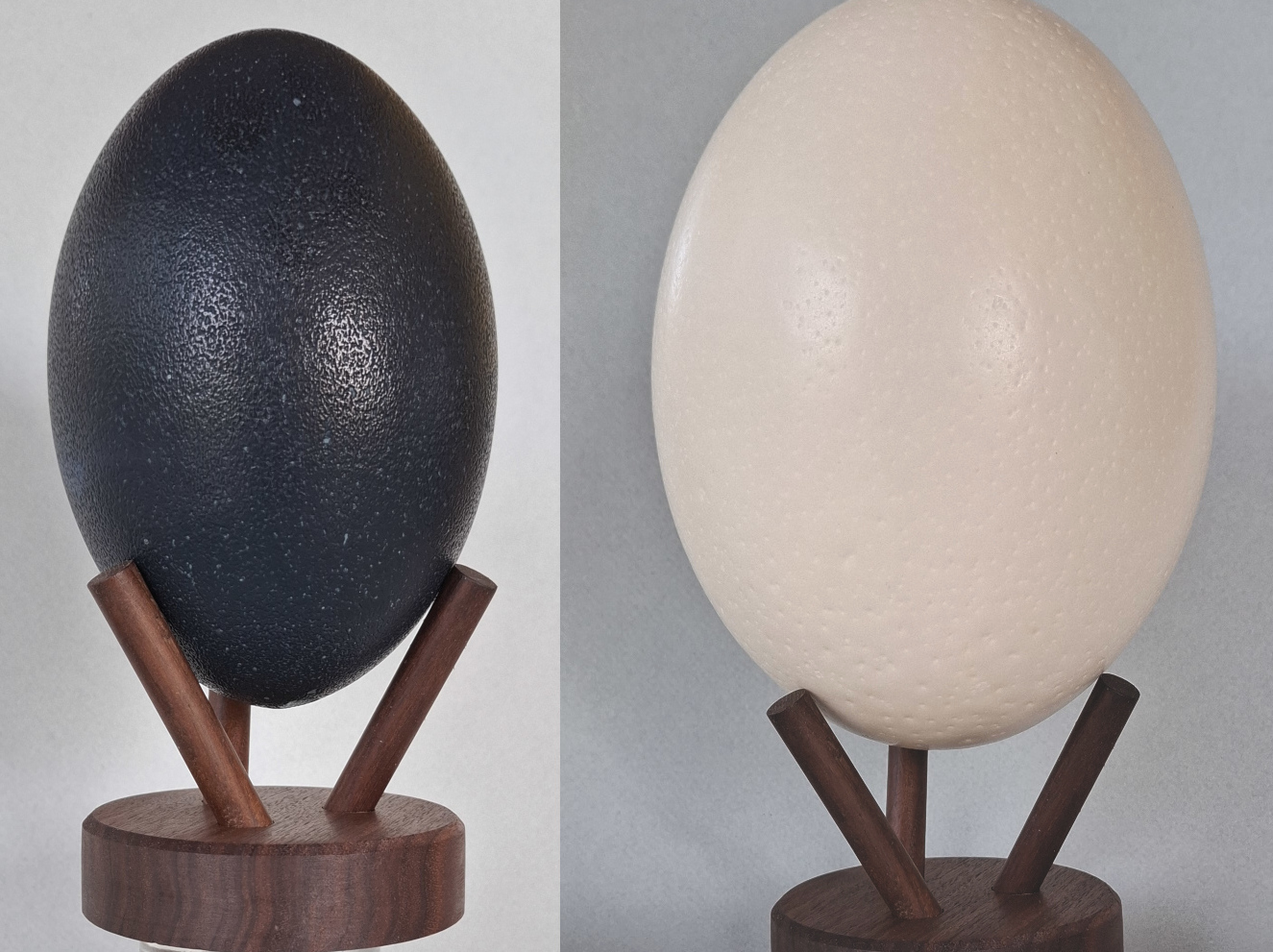 support oeuf, support minéraux : Socle 3 points bois - Diamètre 7cm